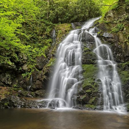 Highland Dream, Hot Tub, 1089 Free Tickets Each Paid Day, Dollywood And More Севьервилл Экстерьер фото