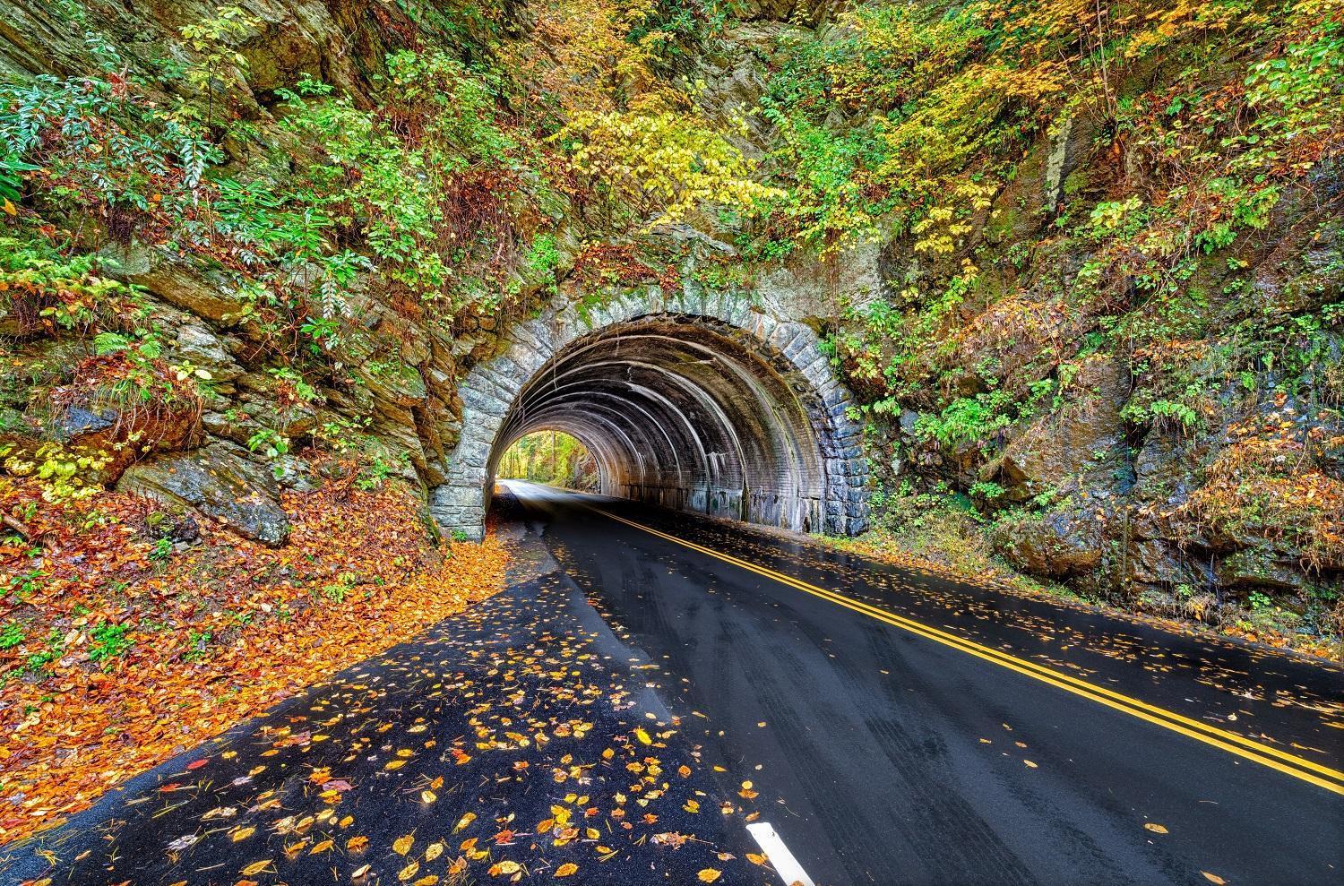 Highland Dream, Hot Tub, 1089 Free Tickets Each Paid Day, Dollywood And More Севьервилл Экстерьер фото