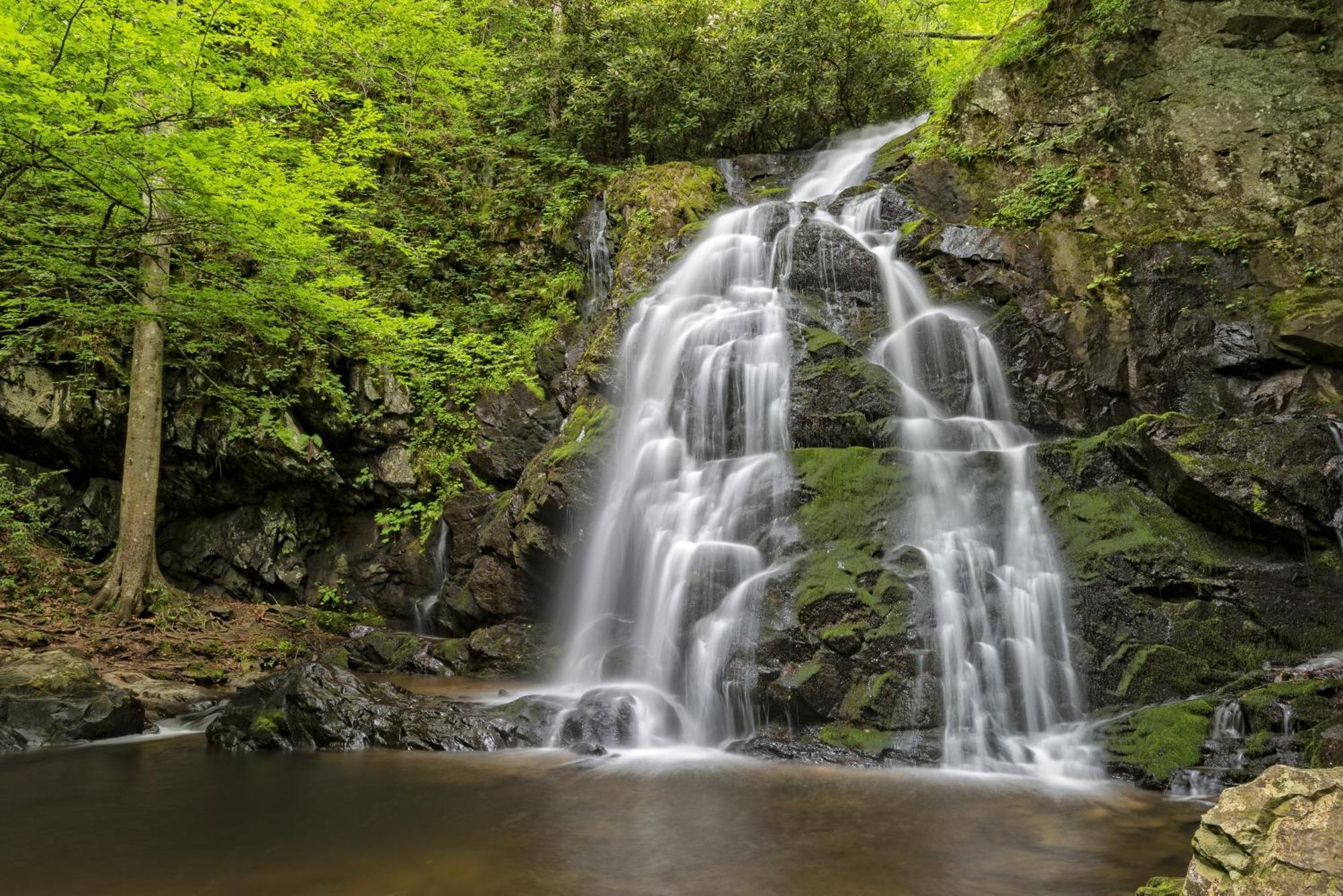 Highland Dream, Hot Tub, 1089 Free Tickets Each Paid Day, Dollywood And More Севьервилл Экстерьер фото