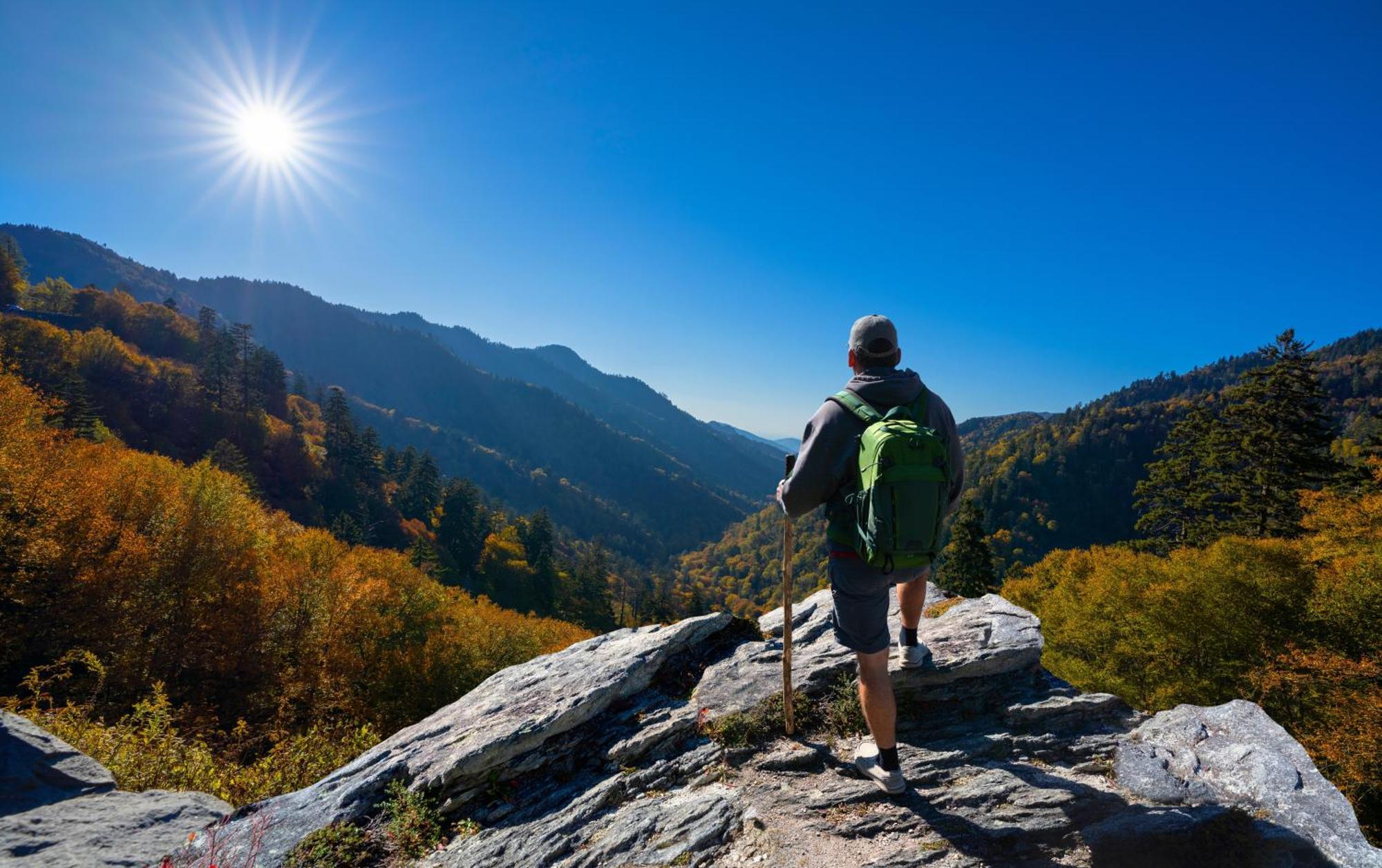 Highland Dream, Hot Tub, 1089 Free Tickets Each Paid Day, Dollywood And More Севьервилл Экстерьер фото