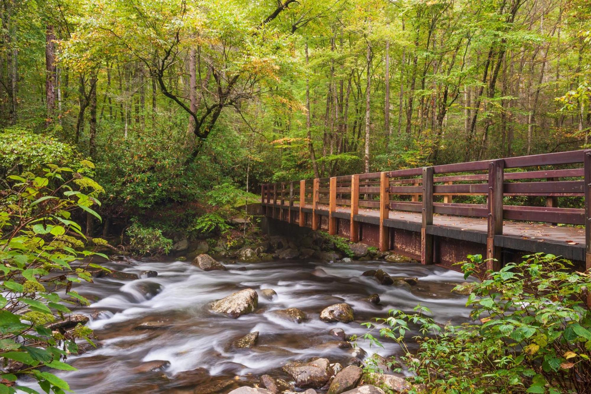 Highland Dream, Hot Tub, 1089 Free Tickets Each Paid Day, Dollywood And More Севьервилл Экстерьер фото